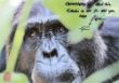 Mzee_2013kl.jpg