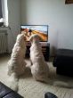 Dürholt JaimyAileen-20160103.jpg